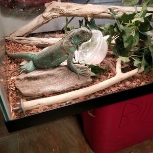 Meet your Posher, Lashun